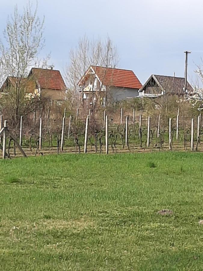 Grapeline Guesthouse Chotin Экстерьер фото
